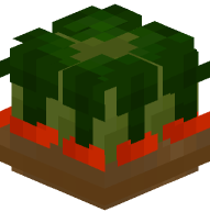 Growing Carrots (dark earth)