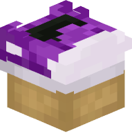 Converse Shoe (purple)