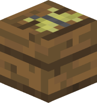 Butterfly on Spruce Planks