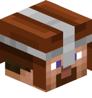 Steve with Guards Armor