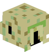 Kashyyyk Scout Trooper