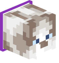 Collared Ragdoll Cat (purple)