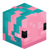 Tropical Fish (parrotfish)