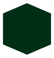 Dark Green (#002e17)