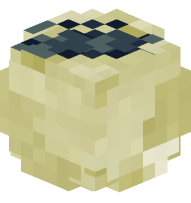 Limestone Fossil (Trilobyte)