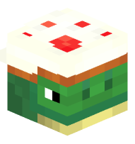 Turtle with Cake Hat