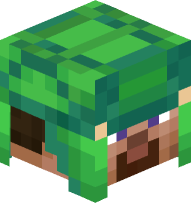 Steve with Turtle Armor