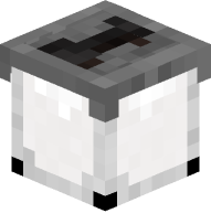 Protein Shake Bottle Milk