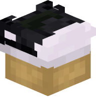 Converse Shoe (black)