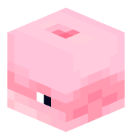 Chinese White Dolphin