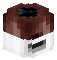 Soylent Bottle (creamy chocolate)