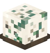 Roquefort on a Plate