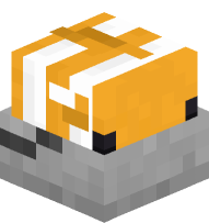 Clownfish in a Bucket