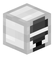 Connection (Success)