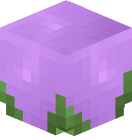 Blossom (purple)