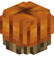 Pumpkin on a Log