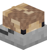 Cod Fish in a Bucket