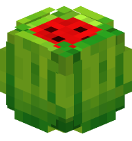 Melon (sliced)