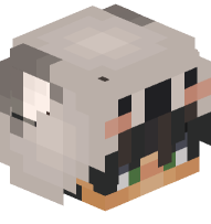 Boy In Koala Costume