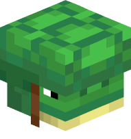 Sea Turtle with Turtle Shell