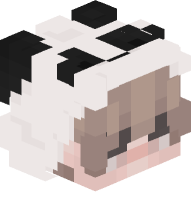 Boy with Panda Costume