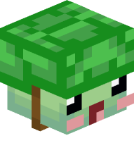 Turtle with Turtle Helmet