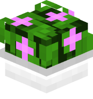 Potted Bush with Pink Flowers