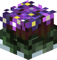 Violet Flowerpot Bloom