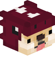 Doge with Dinosaur Costume