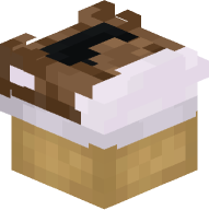 Converse Shoe (brown)