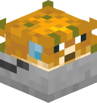 Pufferfish in a Bucket