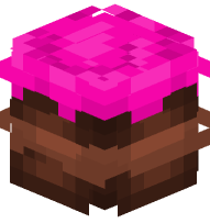 Pink Chocolate Cake
