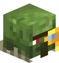 Cartographer Zombie Villager