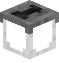 Protein Shake Bottle (empty)