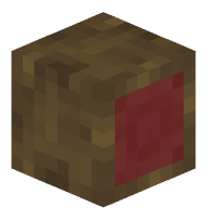 Mangrove Log (sideways)