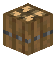 Barrel (Beetroot Seeds)