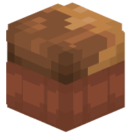 Half Bran Half Chocolate Muffin