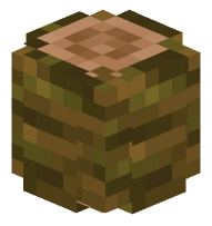 Jungle Log (rounded)