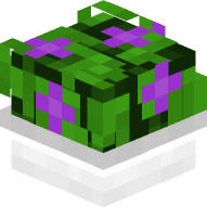 Potted Bush with Purple Flowers