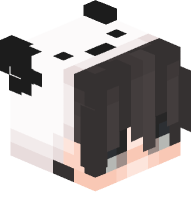 Boy with Panda Costume