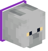 Collared British Shorthair Cat (purple)