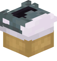 Converse Shoe (gray)