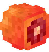 Blood Orange (Sliced)