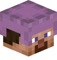 Steve with Shulker Armor