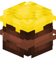 Yellow Chocolate Cake