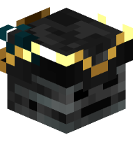 Wither Skeleton Pirate