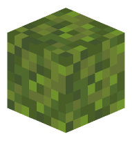 Moss Block