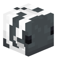 Tropical Fish (white-gray dasher)