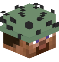 Steve with Cactus Hat