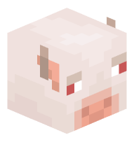 Albino Cow